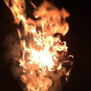 Meet your Posher, Charlotte